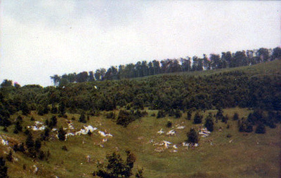 Eltmdtt vznyel - Bkk-fennsk 1980