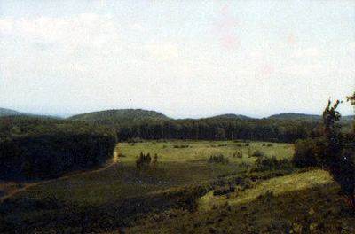 Bkk-fennsk 1980