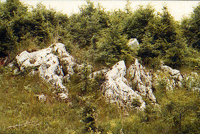 rdgsznts - Bkk-fennsk 1980