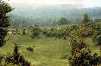 Uvala - Bkk-fennsk 1980 nyara