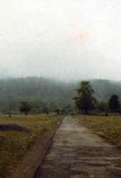 Bkk-fennsk 1980 nyara