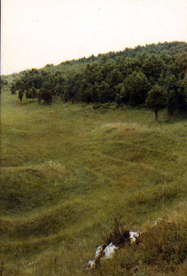 Brcsor - Bkk-fennsk 1980 nyara