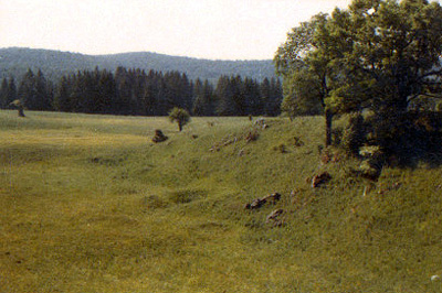 Bkk-fennsk 1980